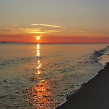 Orman Evi Arletta I Strefa *