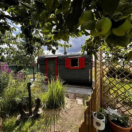 Lodge Arletta I Strefa *