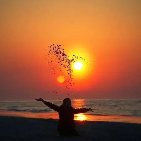 Arletta I Strefa * Jastrzebia Gora