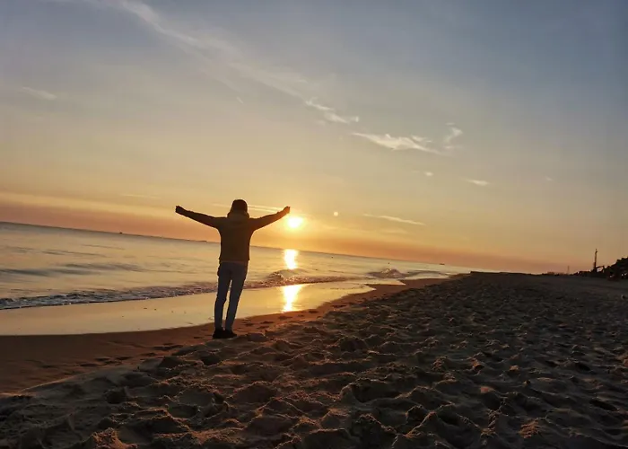 Arletta I Strefa Lodge *