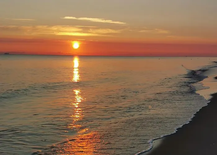 Lodge Arletta I Strefa *